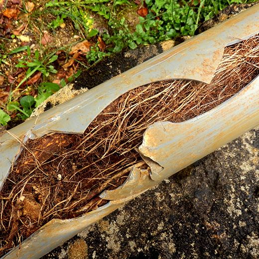 Same Day Drain Sewer & Rooter Pros Across Danbury